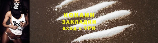 спиды Алзамай