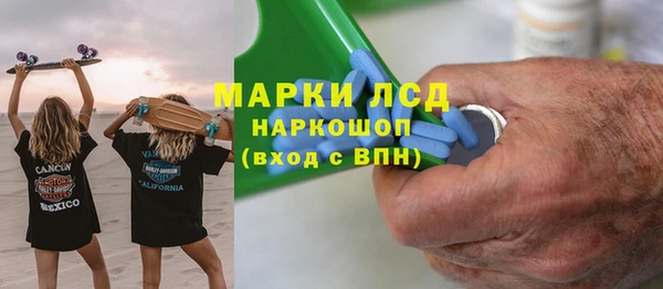 индика Алексин