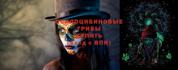 спиды Алзамай