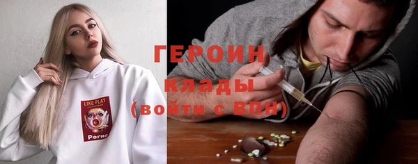 индика Алексин