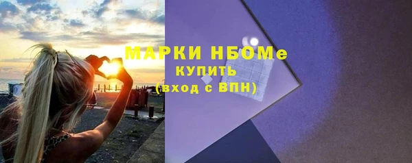индика Алексин