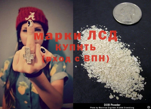 индика Алексин