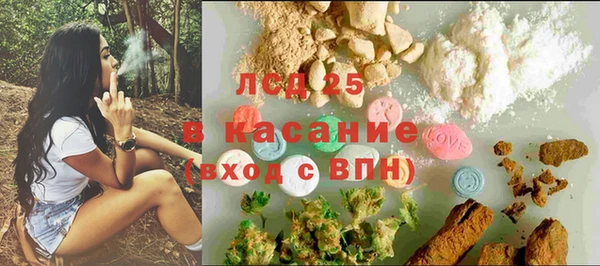 индика Алексин