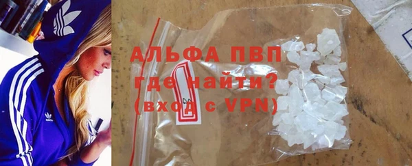 индика Алексин