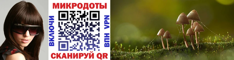 Псилоцибиновые грибы мухоморы  Купить где  Сортавала 